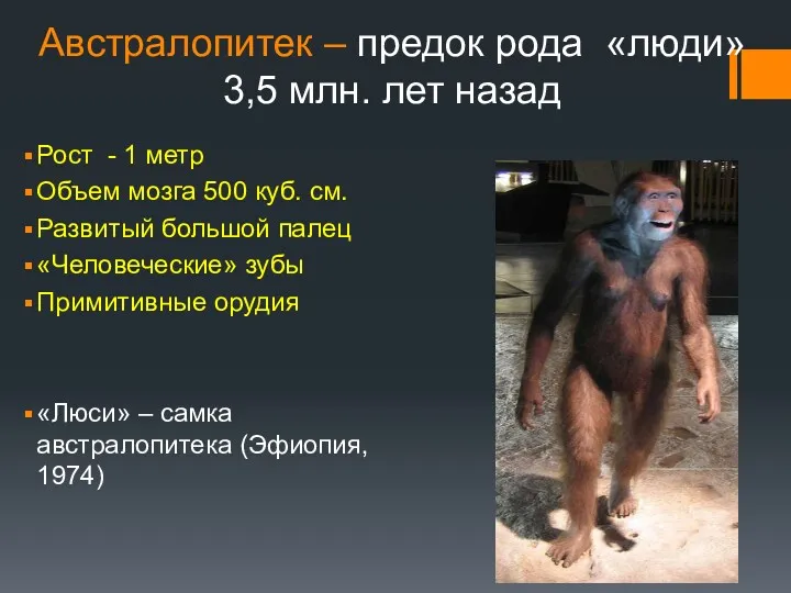 Австралопитек – предок рода «люди» 3,5 млн. лет назад Рост