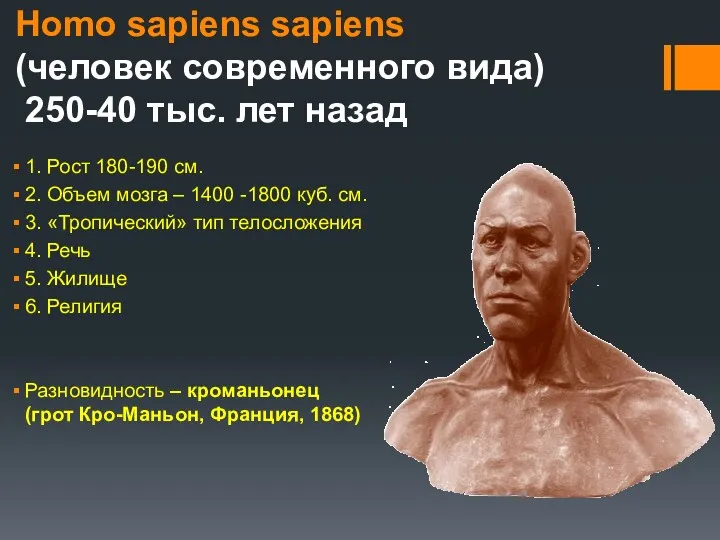 Homo sapiens sapiens (человек современного вида) 250-40 тыс. лет назад