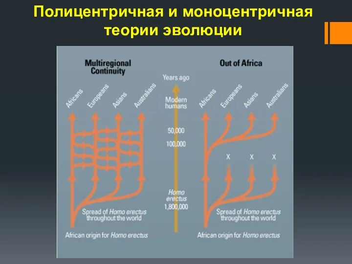 Полицентричная и моноцентричная теории эволюции