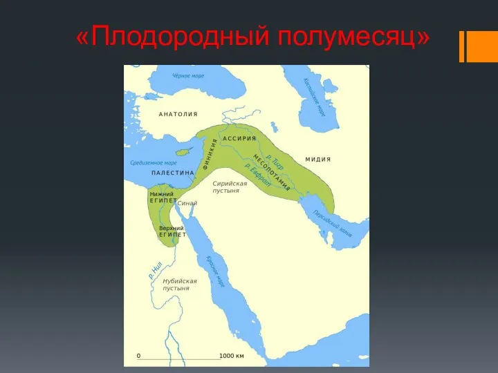 «Плодородный полумесяц»