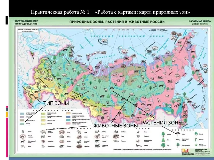 Практическая работа № 1 «Работа с картами: карта природных зон»