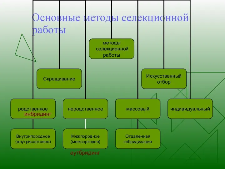 Основные методы селекционной работы инбридинг аутбридинг