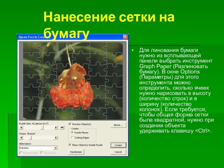 Для линования бумаги нужно из всплывающей панели выбрать инструмент Graph