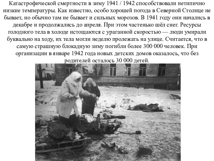 Катастрофической смертности в зиму 1941 / 1942 способствовали нетипично низкие