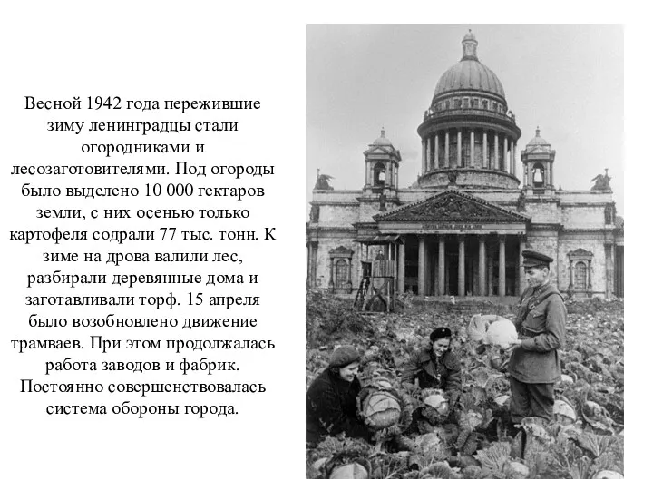 Весной 1942 года пережившие зиму ленинградцы стали огородниками и лесозаготовителями.