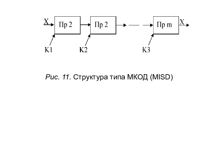 Рис. 11. Структура типа МКОД (MISD)