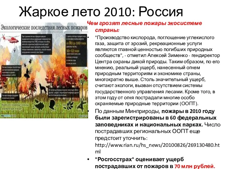 Жаркое лето 2010: Россия Чем грозят лесные пожары экосистеме страны:
