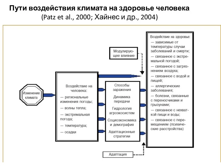 Пути воздействия климата на здоровье человека (Patz et al., 2000; Хайнес и др., 2004)