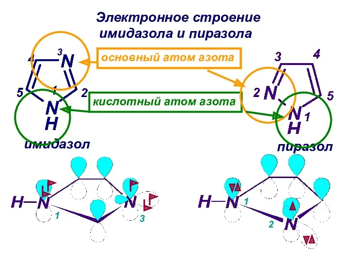 имидазол пиразол Электронное строение имидазола и пиразола кислотный атом азота основный атом азота