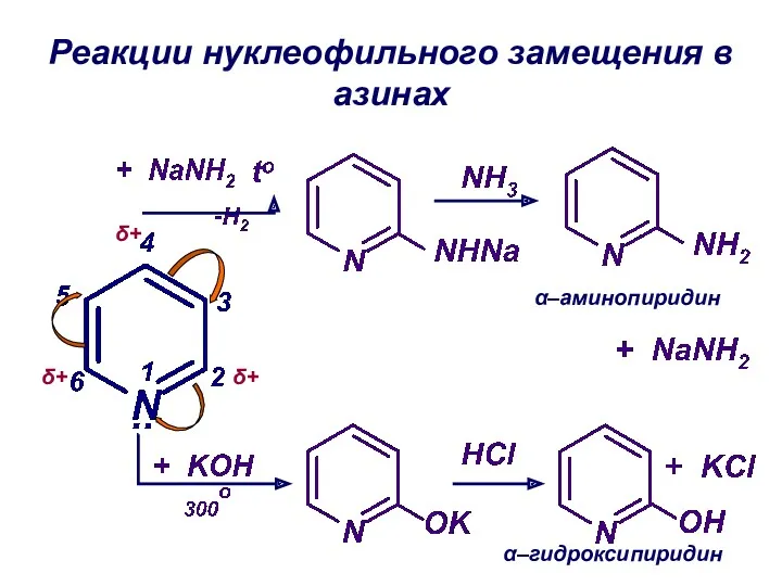 Реакции нуклеофильного замещения в азинах δ+ δ+ δ+ α–аминопиридин α–гидроксипиридин