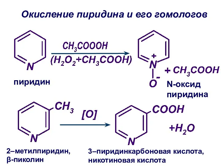 Окисление пиридина и его гомологов пиридин N-оксид пиридина 2–метилпиридин, β-пиколин 3–пиридинкарбоновая кислота, никотиновая кислота