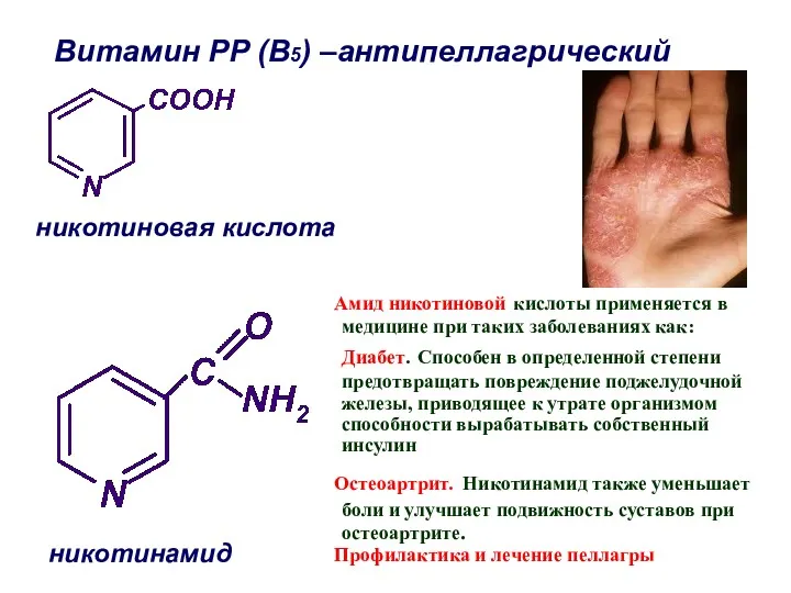 никотиновая кислота никотинамид Витамин РР (В5) –антипеллагрический Амид никотиновой кислоты применяется в медицине