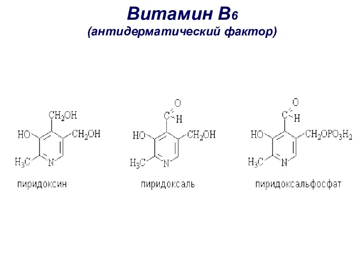 Витамин B6 (антидерматический фактор)