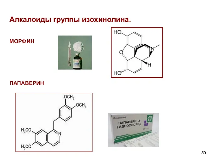 Алкалоиды группы изохинолина. МОРФИН ПАПАВЕРИН