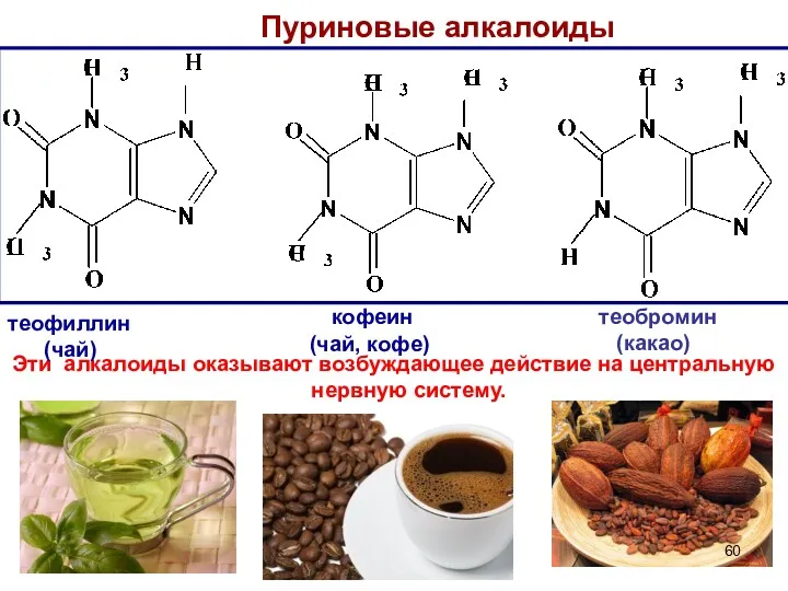 Пуриновые алкалоиды Эти алкалоиды оказывают возбуждающее действие на центральную нервную систему. теофиллин (чай)