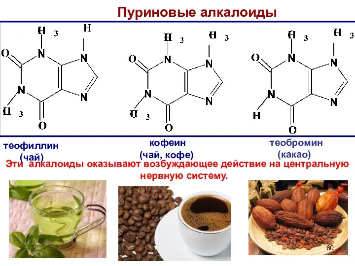 Пуриновые алкалоиды Эти алкалоиды оказывают возбуждающее действие на центральную нервную