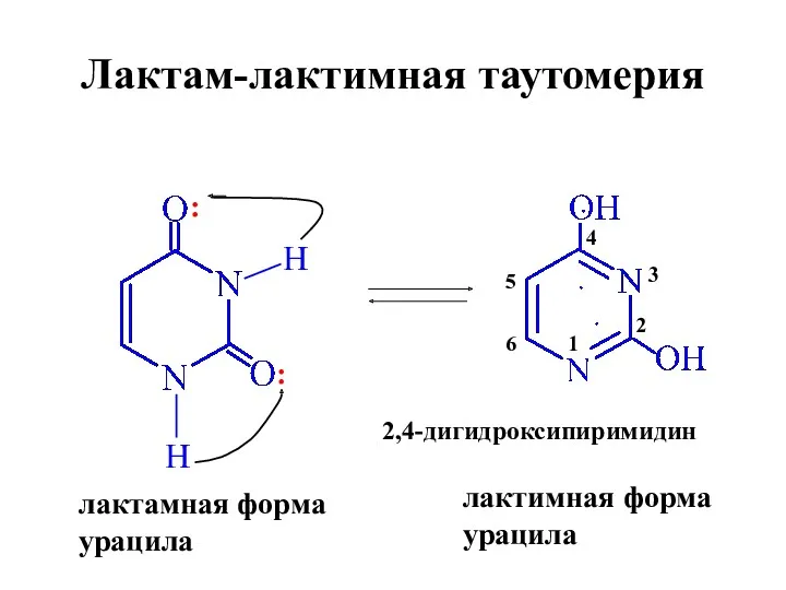 Лактам-лактимная таутомерия H H : : лактамная форма урацила лактимная форма урацила 2