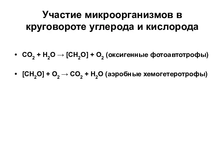 Участие микроорганизмов в круговороте углерода и кислорода CO2 + H2O