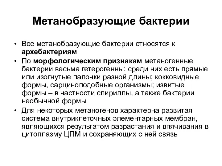 Метанобразующие бактерии Все метанобразующие бактерии относятся к архебактериям По морфологическим