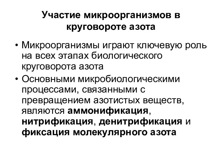 Участие микроорганизмов в круговороте азота Микроорганизмы играют ключевую роль на