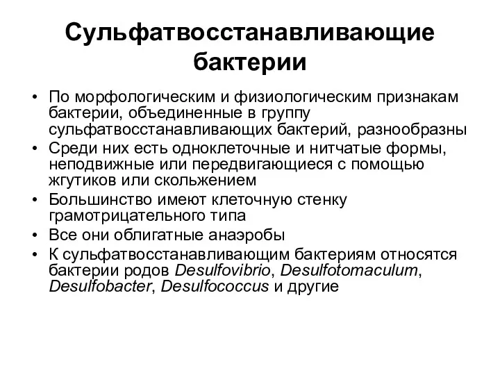 Сульфатвосстанавливающие бактерии По морфологическим и физиологическим признакам бактерии, объединенные в