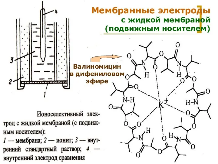 МККОС. Л.К. № 9. Попова Людмила Федоровна Мембранные электроды с