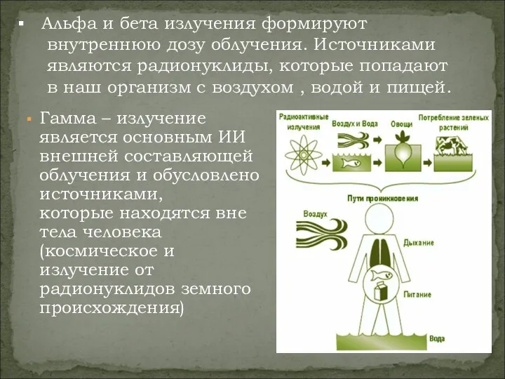 Гамма – излучение является основным ИИ внешней составляющей облучения и