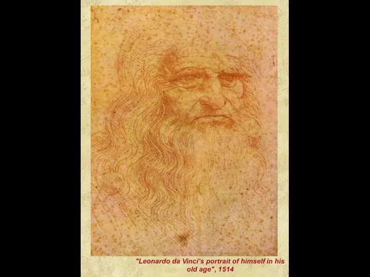 "Leonardo da Vinci's portrait of himself in his old age", 1514