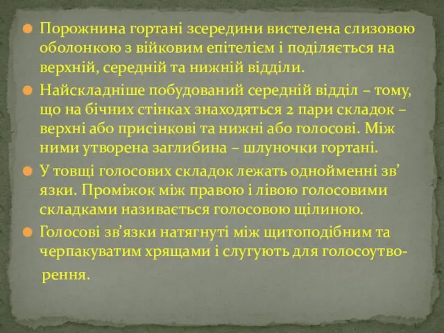 Порожнина гортані зсередини вистелена слизовою оболонкою з війковим епітелієм і