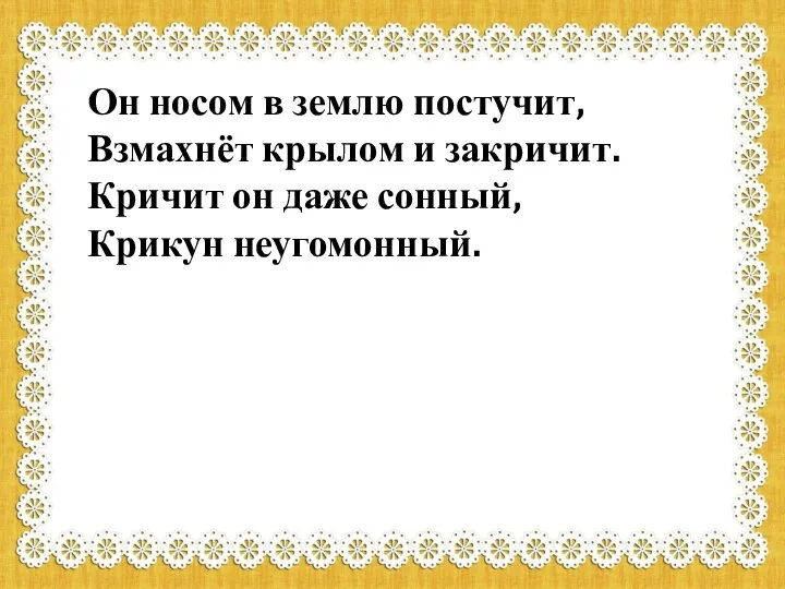 Он носом в землю постучит, Взмахнёт крылом и закричит. Кричит он даже сонный, Крикун неугомонный.