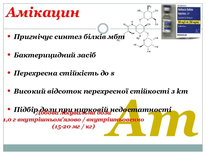 Am Амікацин Пригнічує синтез білків мбт Бактерицидний засіб Перехресна стійкість