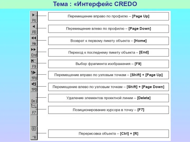 Тема : «Интерфейс CREDO