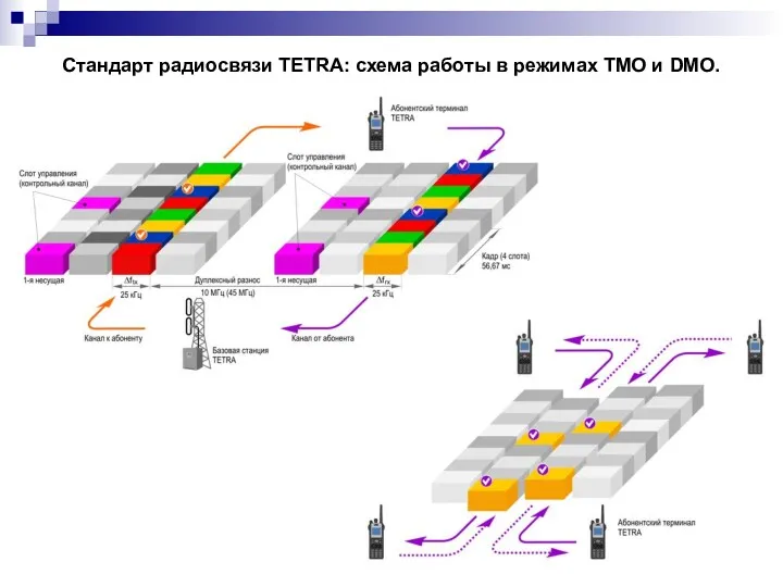 Стандарт радиосвязи TETRA: схема работы в режимах TMO и DMO.