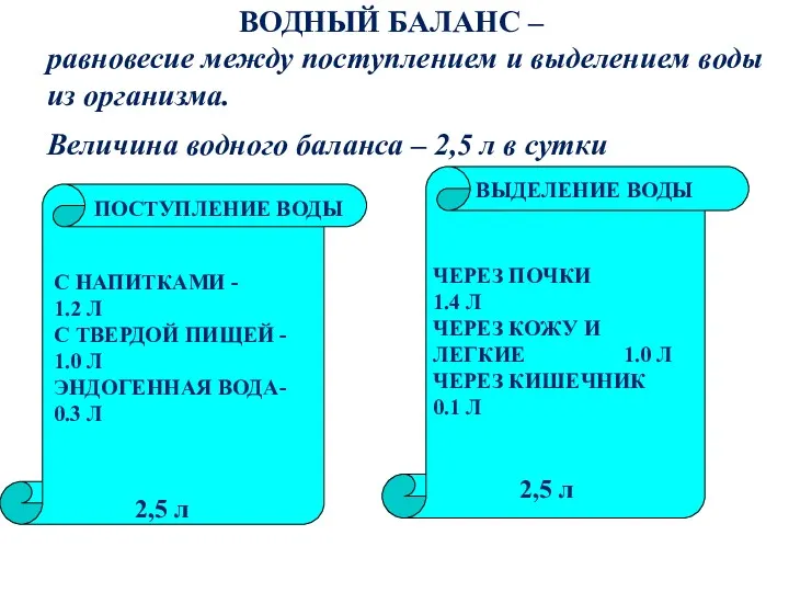 ВОДНЫЙ БАЛАНС – равновесие между поступлением и выделением воды из