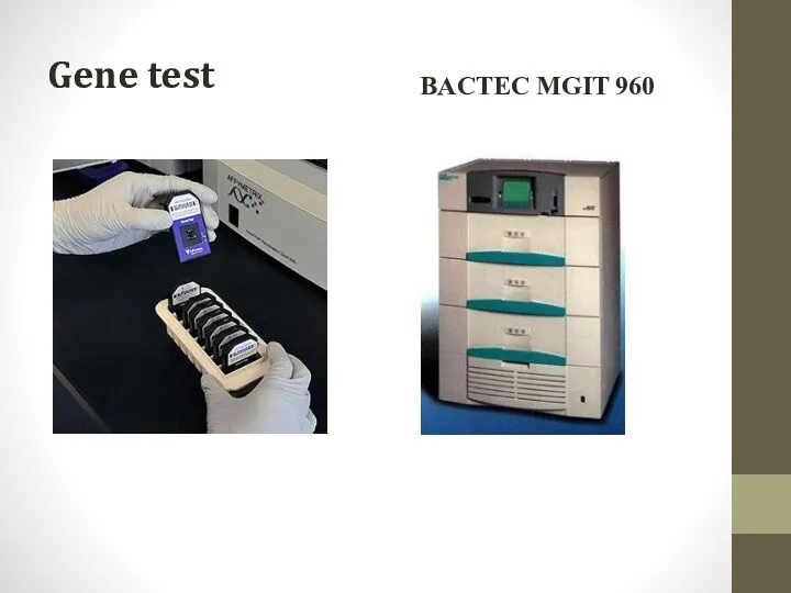 Gene test BACTEC MGIT 960