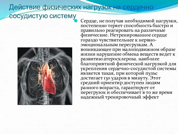 Действие физических нагрузок на сердечно сосудистую систему Сердце, не получая