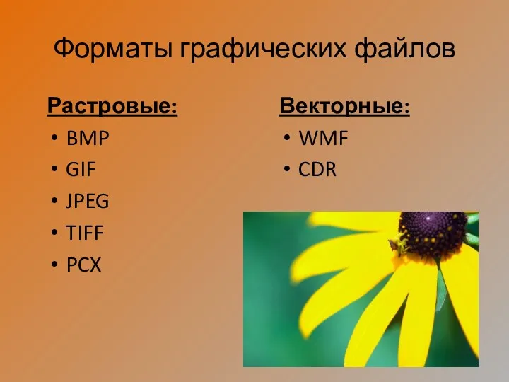 Форматы графических файлов Растровые: BMP GIF JPEG TIFF PCX Векторные: WMF CDR