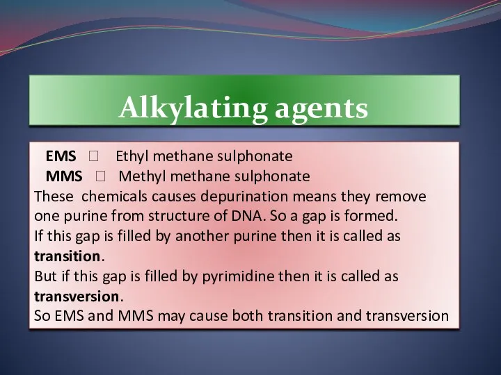 Alkylating agents EMS ? Ethyl methane sulphonate MMS ? Methyl methane sulphonate These