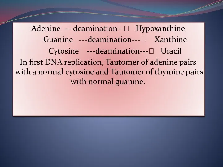 Adenine ---deamination--? Hypoxanthine Guanine ---deamination---? Xanthine Cytosine ---deamination---? Uracil In first DNA replication,