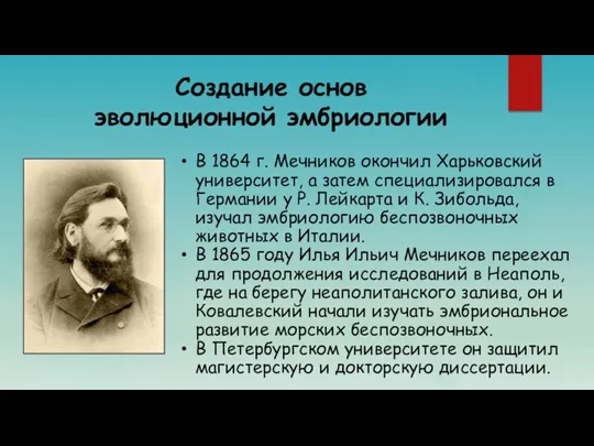 Создание основ эволюционной эмбриологии В 1864 г. Мечников окончил Харьковский