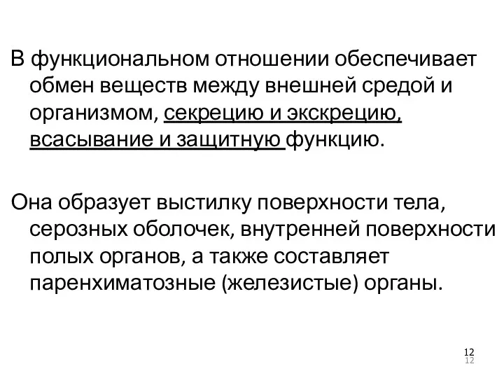 В функциональном отношении обеспечивает обмен веществ между внешней средой и организмом, секрецию и