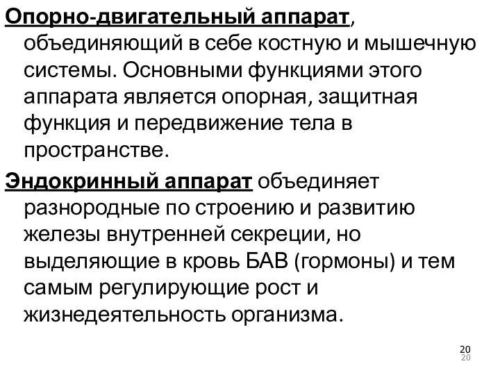 Опорно-двигательный аппарат, объединяющий в себе костную и мышечную системы. Основными функциями этого аппарата