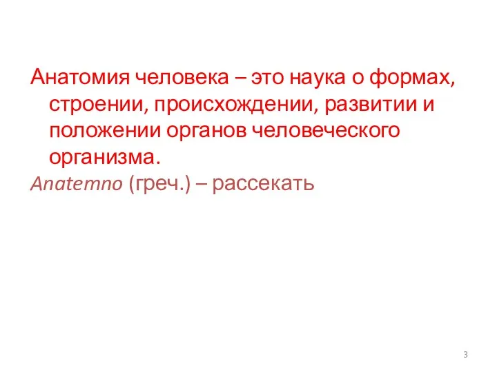 Анатомия человека – это наука о формах, строении, происхождении, развитии и положении органов