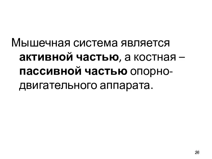 Мышечная система является активной частью, а костная – пассивной частью опорно-двигательного аппарата.