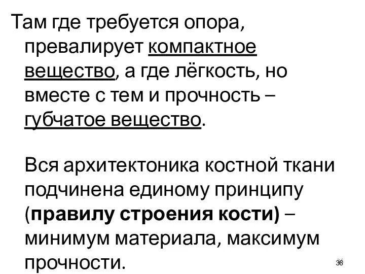 Там где требуется опора, превалирует компактное вещество, а где лёгкость, но вместе с