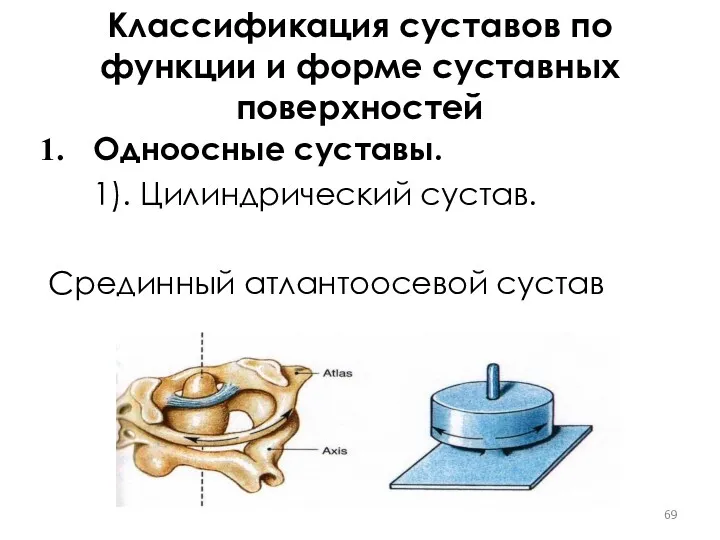 Классификация суставов по функции и форме суставных поверхностей Одноосные суставы. 1). Цилиндрический сустав. Срединный атлантоосевой сустав