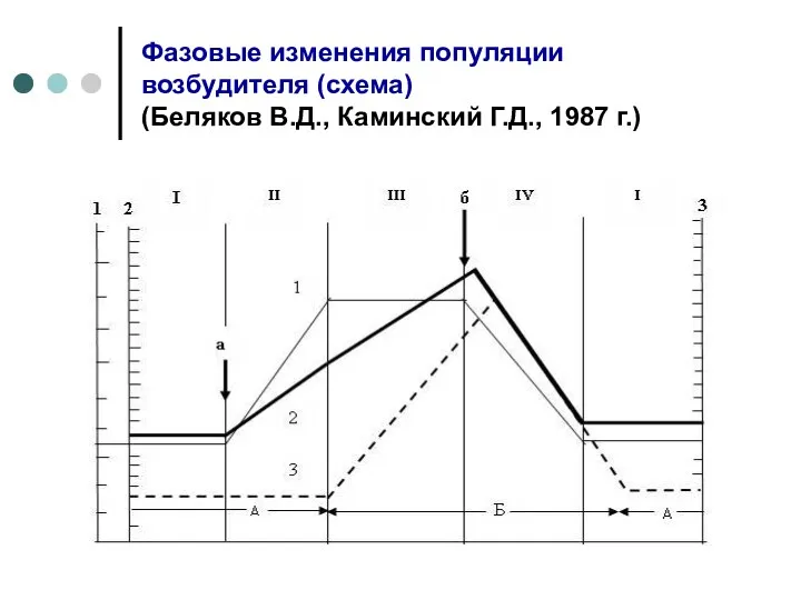 Фазовые изменения популяции возбудителя (схема) (Беляков В.Д., Каминский Г.Д., 1987 г.)