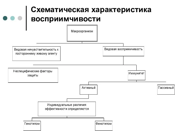 Схематическая характеристика восприимчивости