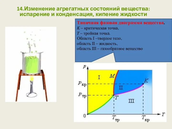 14.Изменение агрегатных состояний вещества: испарение и конденсация, кипение жидкости Типичная фазовая диаграмма вещества.