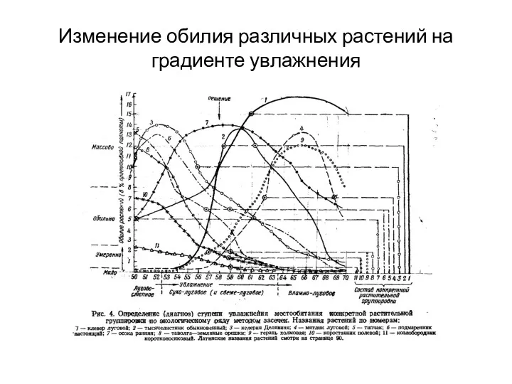 Изменение обилия различных растений на градиенте увлажнения